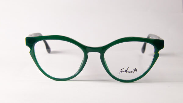 Lentes Ópticos Tortoise Negro y Verde de Acetato