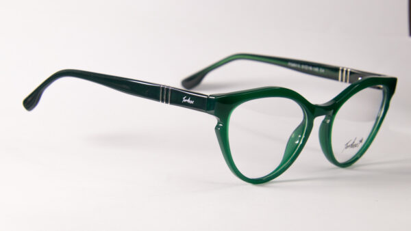 Lentes Ópticos Tortoise Negro y Verde de Acetato