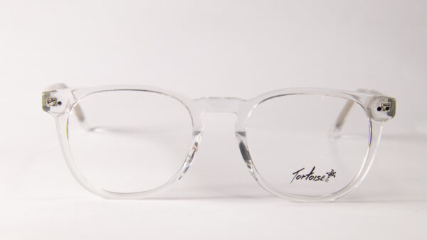 Lentes Ópticos Tortoise Transparente de Acetato