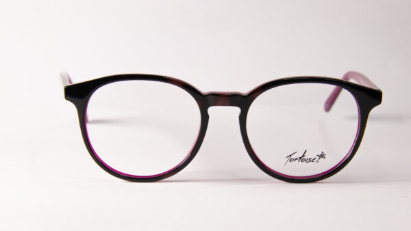 Lentes Ópticos Tortoise Carey y Rojo de Acetato